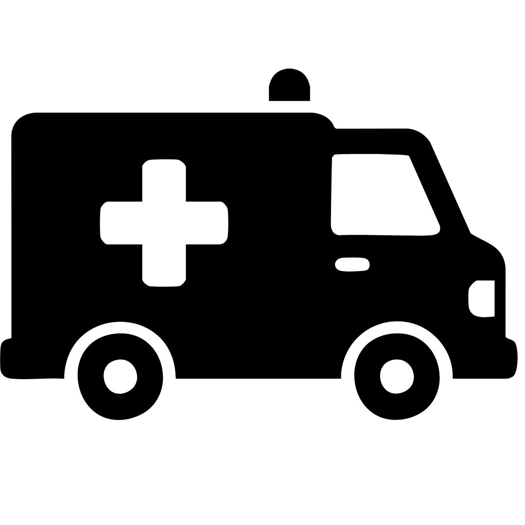 Ligonių ir neįgaliųjų pervežimas ikona