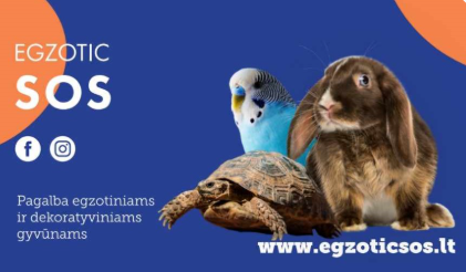EGZOTICSOS.LT