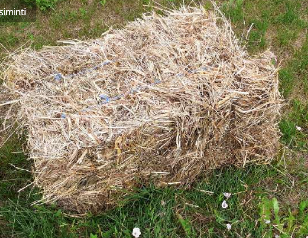 Nedidelis darbelis. Klaipėda