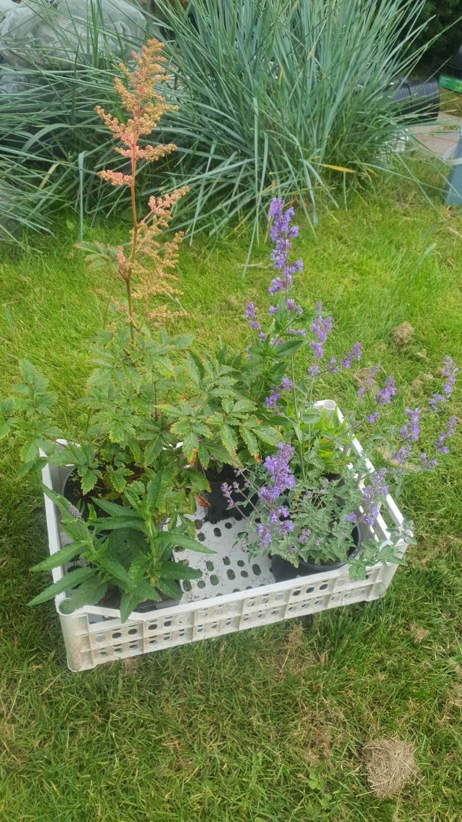 Augalai Klaipėda-Ukmergės raj